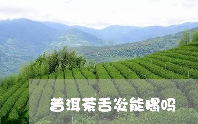 普洱茶舌炎能喝吗/2023040191714