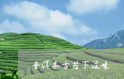 普洱茶舌苔下涩味/2023041003247