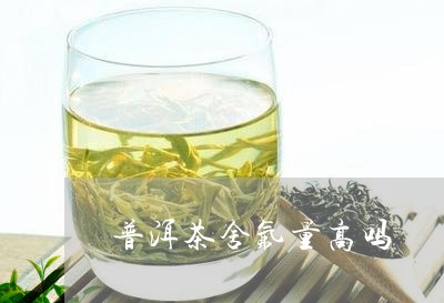 普洱茶舍氟量高吗/2023033087381