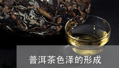 普洱茶色泽的形成/2023033041615