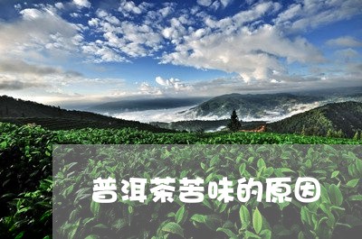 普洱茶苦味的原因/2023041009575