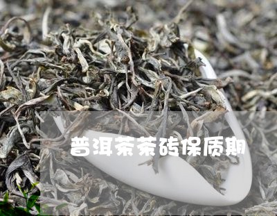 普洱茶茶砖保质期/2023032945037