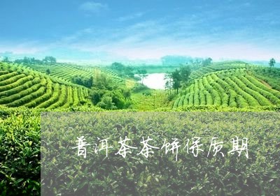 普洱茶茶饼保质期/2023041357269