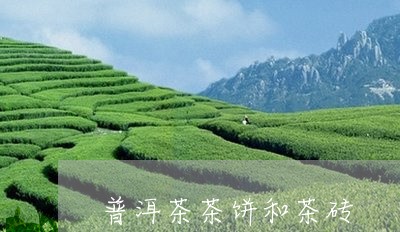 普洱茶茶饼和茶砖/2023031870681