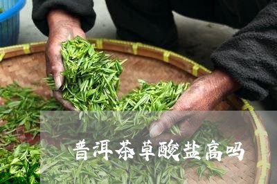 普洱茶草酸盐高吗/2023033118158