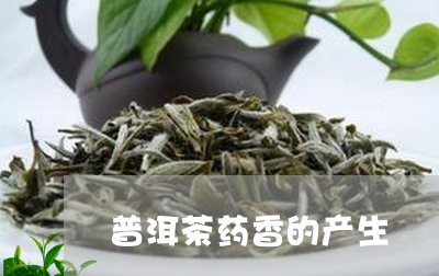 普洱茶药香的产生/2023031649814