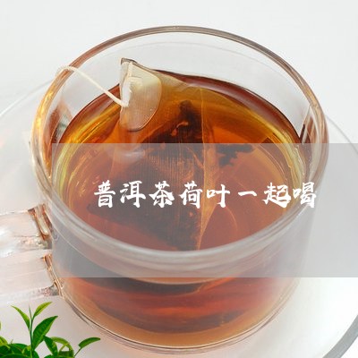 普洱茶荷叶一起喝/2023033165826