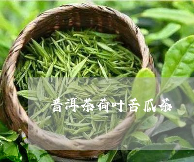 普洱茶荷叶苦瓜茶/2023031704146