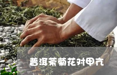 普洱茶菊花对甲亢/2023041012916