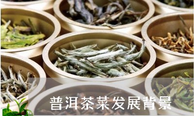 普洱茶菜发展背景/2023040924130