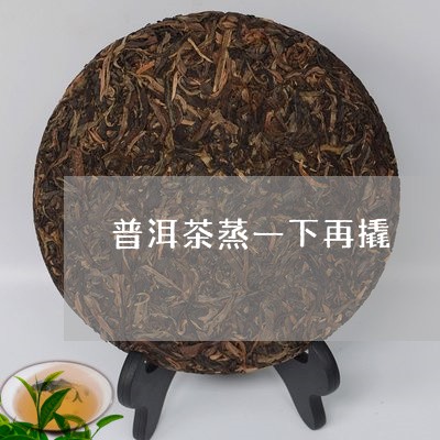 普洱茶蒸一下再撬/2023033094261