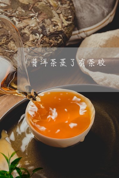 普洱茶蒸了有茶胶/2023041165257