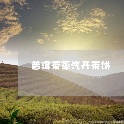 普洱茶蒸汽开茶饼/2023031693846