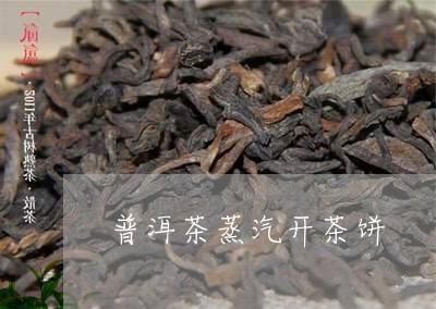 普洱茶蒸汽开茶饼/2023041166271