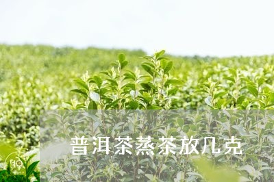 普洱茶蒸茶放几克/2023041132714