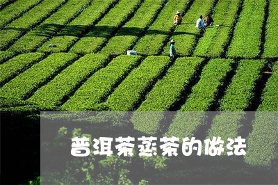 普洱茶蒸茶的做法/2023041133613