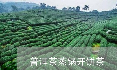 普洱茶蒸锅开饼茶/2023041162604