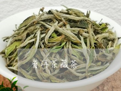 普洱茶藏茶/2023031582939