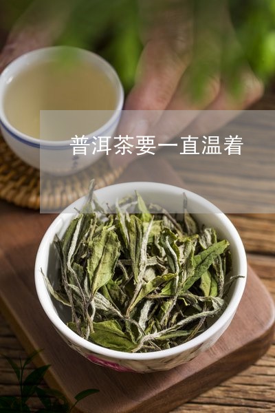 普洱茶要一直温着/2023033033847