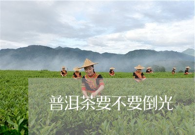 普洱茶要不要倒光/2023033161604