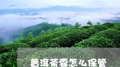 普洱茶要怎么保管/2023031748504