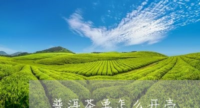 普洱茶要怎么开壶/2023031771605