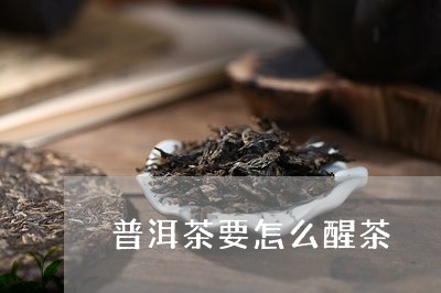 普洱茶要怎么醒茶/2023041172626