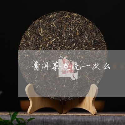 普洱茶要洗一次么/2023033071714