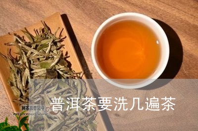 普洱茶要洗几遍茶/2023032992614