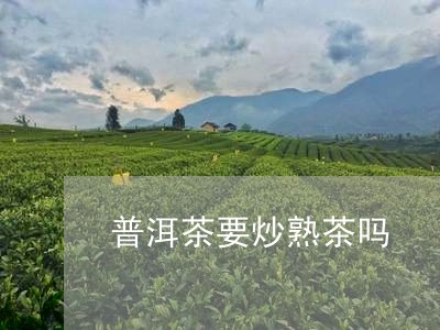 普洱茶要炒熟茶吗/2023031767251