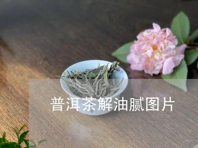 普洱茶解油腻图片/2023040944068