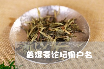 普洱茶论坛用户名/2023031819382