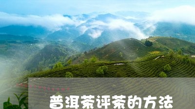 普洱茶评茶的方法/2023041157251