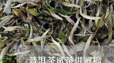 普洱茶试茶讲解稿/2023031825381