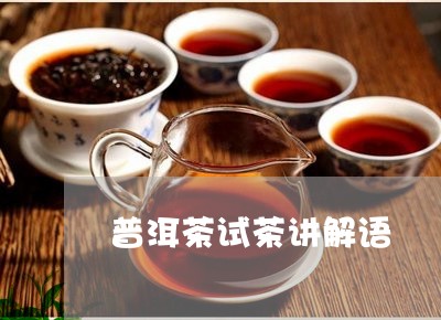 普洱茶试茶讲解语/2023041331615