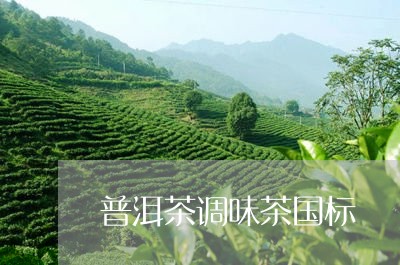 普洱茶调味茶国标/2023041229705