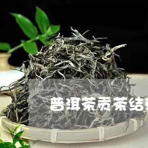 普洱茶贡茶结束后/2023031605950