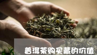 普洱茶购买藏的价值/2023041055170