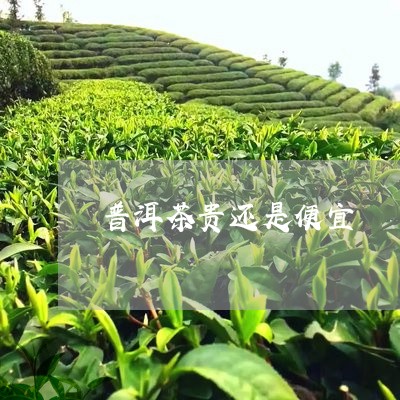 普洱茶贵还是便宜/2023040947584