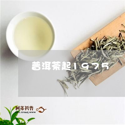 普洱茶起1975/2023041094947