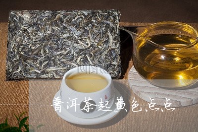 普洱茶起黄色点点/2023040949393