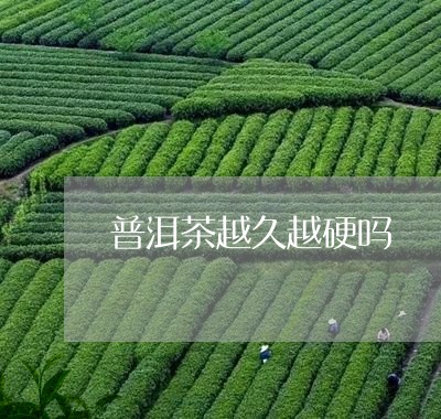 普洱茶越久越硬吗/2023033081948