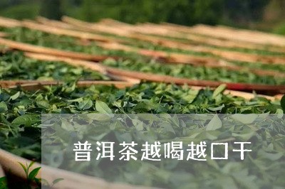 普洱茶越喝越口干/2023041308371