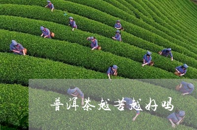 普洱茶越苦越好吗/2023041378260