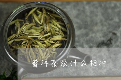 普洱茶跟什么相冲/2023041025169