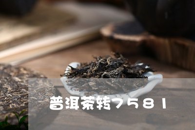 普洱茶转7581/2023041027250