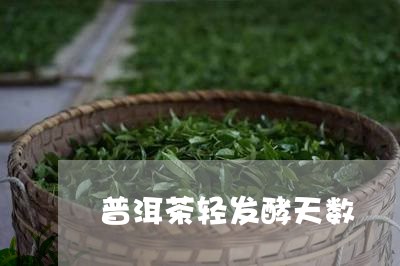 普洱茶轻发酵天数/2023041071713