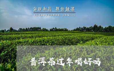 普洱茶过年喝好吗/2023041010927