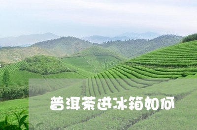 普洱茶进冰箱如何/2023031878483