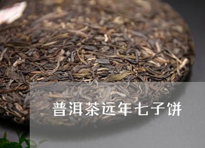 普洱茶远年七子饼/2023033109714